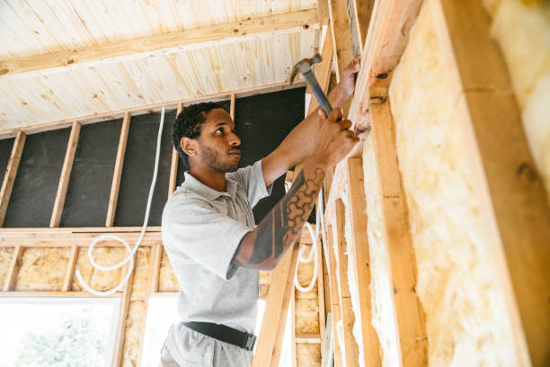 Best Insulation for New Construction  in St James, MN